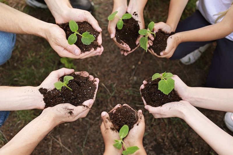 ROOTED: A Jewish Day of Service for the Earth