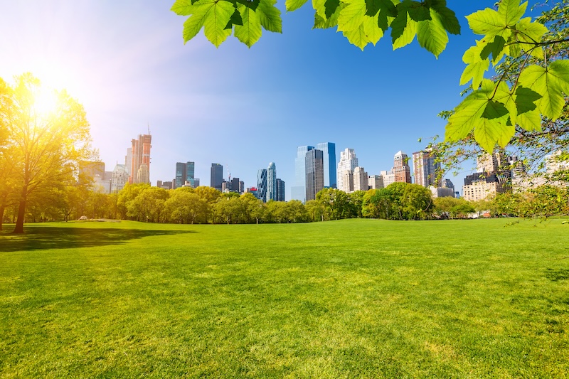 Central park, New York