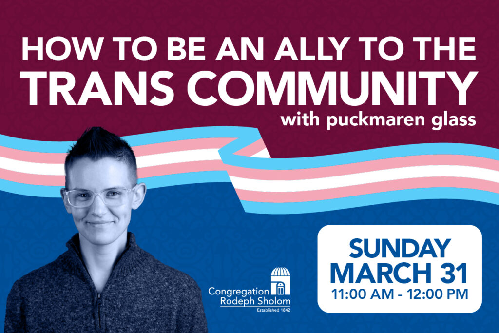 How To Be an Ally to the Trans Community